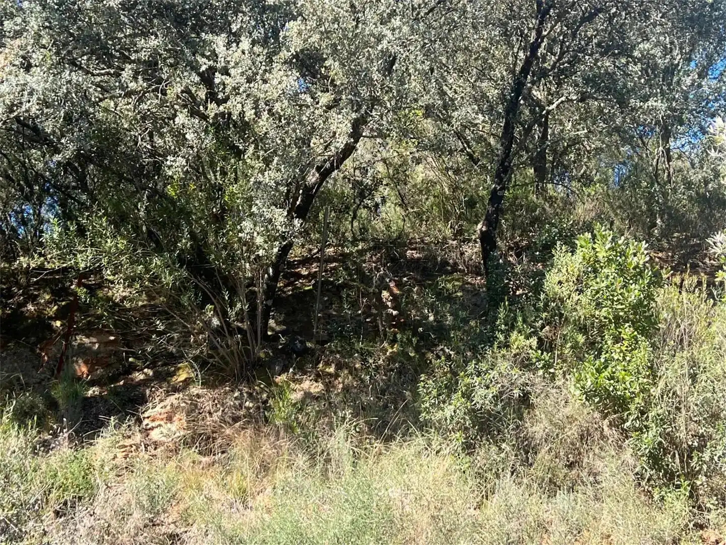 Finca rústica en venta en Castañar de Ibor con Piscina