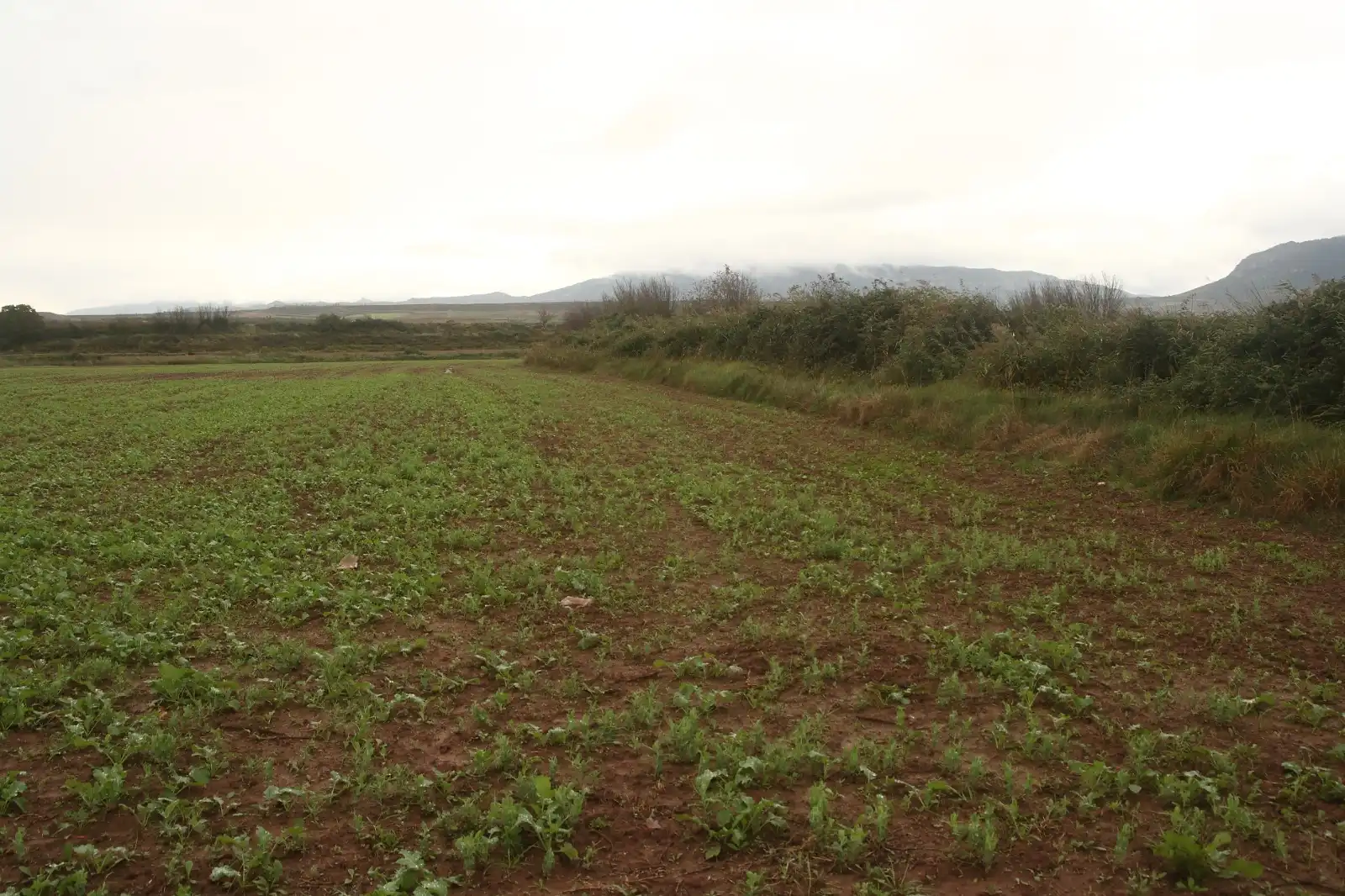 Terrenys i solars en venda a Alberite, imagen 2