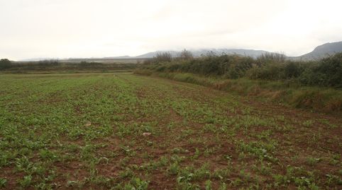 Finca de regadío, immagine 2