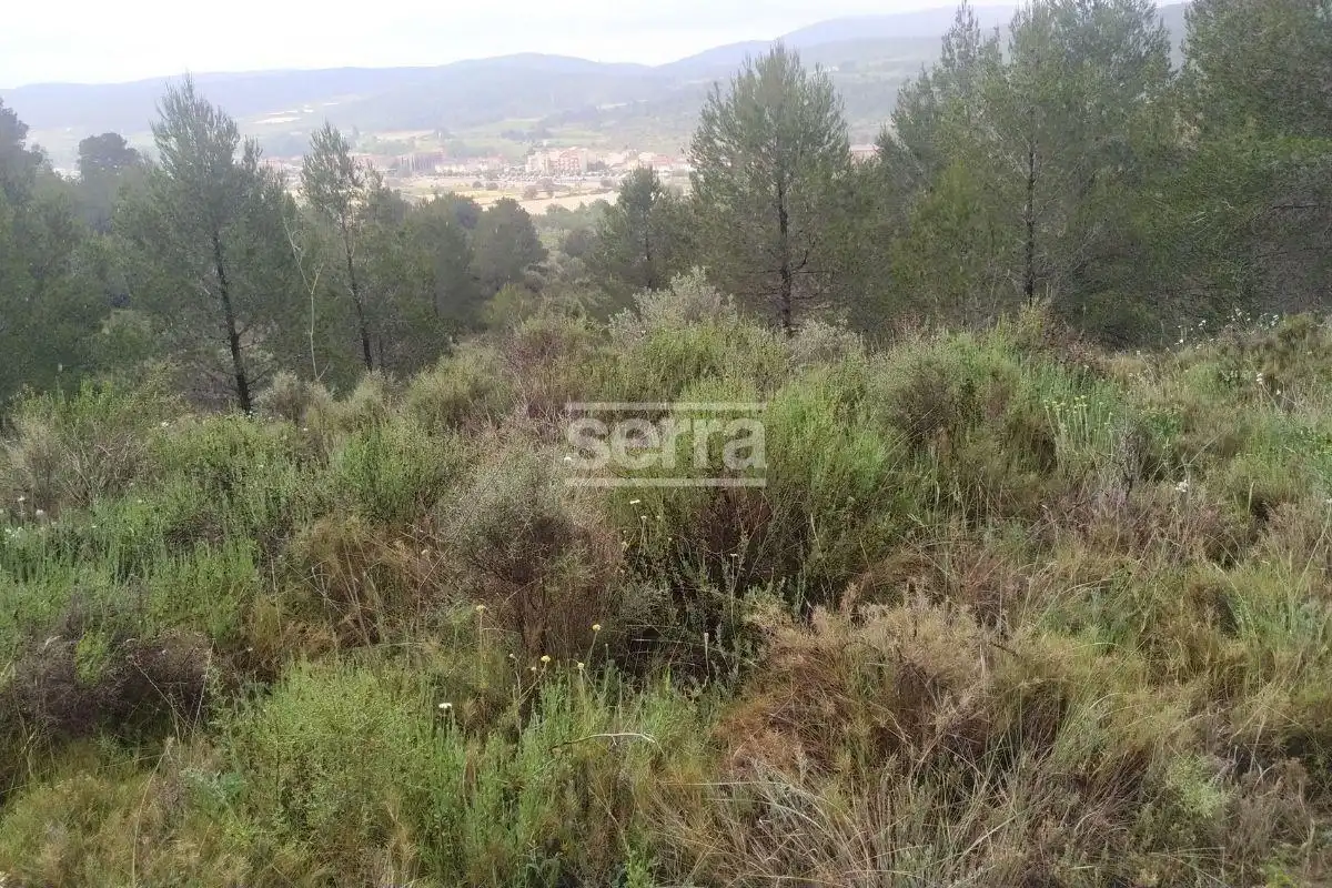 Land for sale in Torrelles de Foix