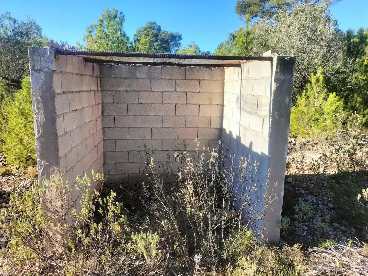 Terreno rustico in vendita a Polígono 6 Parcela 31 CARRASQUETA. NAVARRES (VALE 6, imagen 9