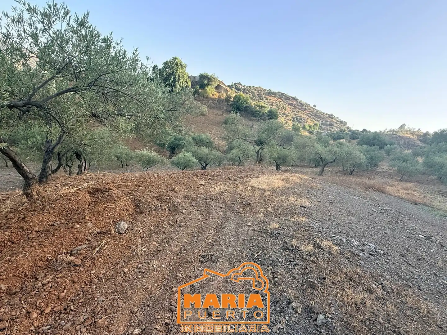 Terreno rustico in vendita a Almogía, imagen 6