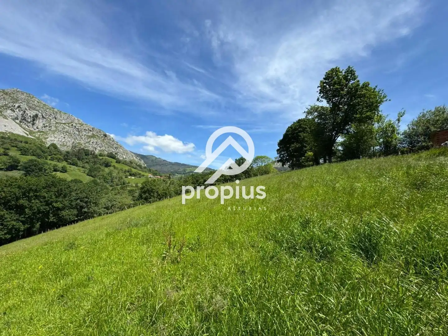 Rural land for sale in ARRIONDAS, imagen 17
