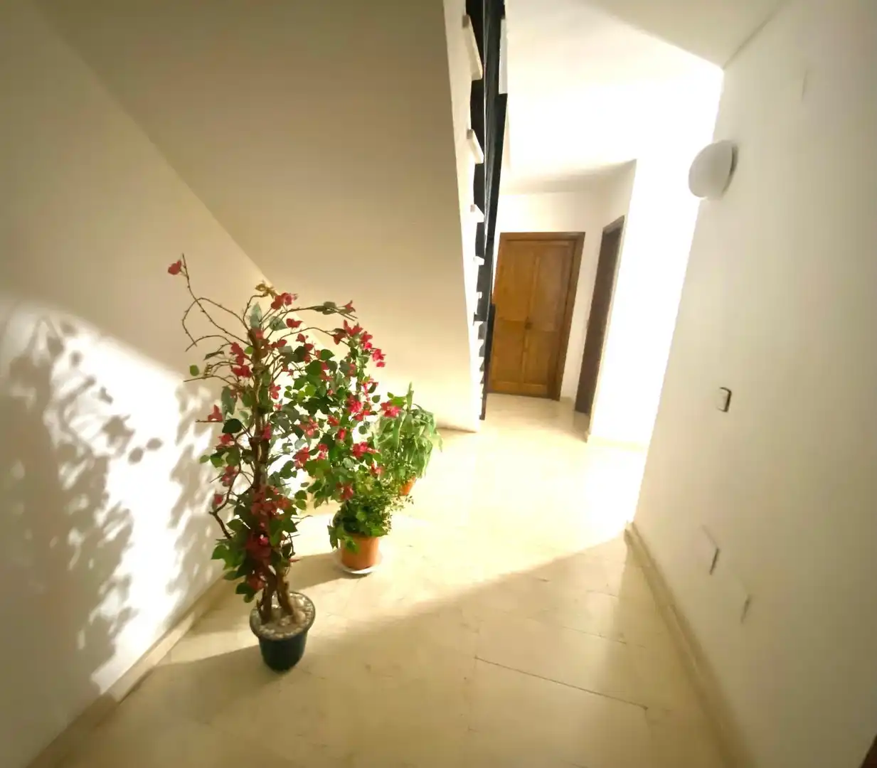 Apartment mit Terrasse zum Verkauf in Alberes, imagen 26