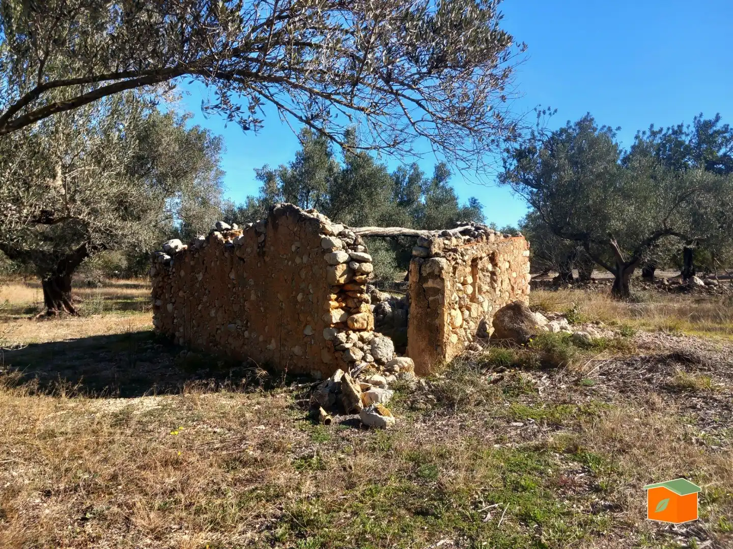 Terreno rustico in vendita a Mas de Barberans, imagen 17