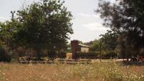 Land for sale in Marchena