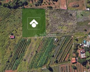 Land for sale in Tacoronte