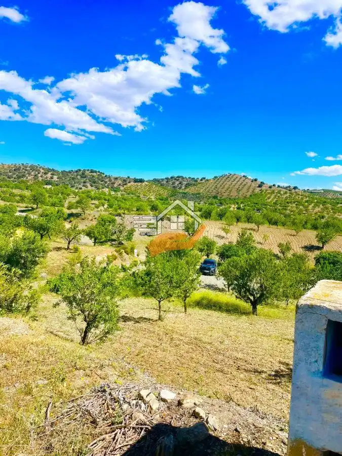Residential land for sale in Vélez-Rubio, imagen 19