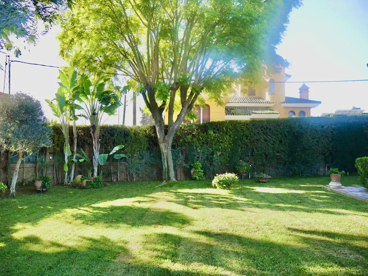 Casa o xalet en venda a Jacinto Benavente, Gines