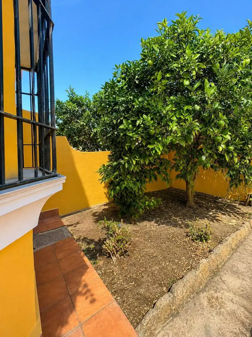 Jardín de Casa adosada en venta en Algeciras con Terraza