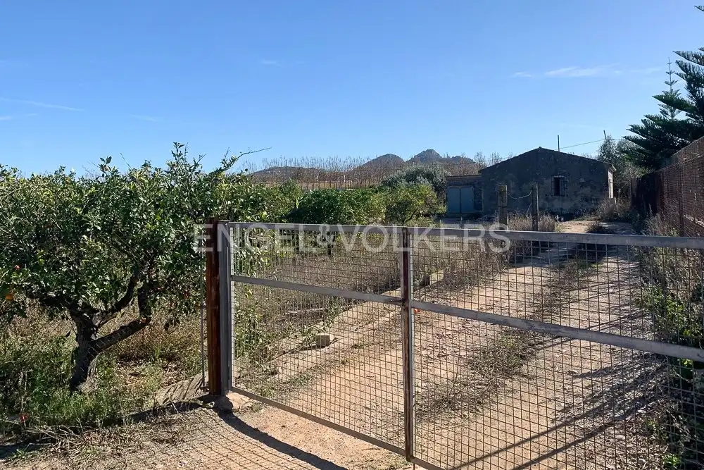 Terrenys i solars en venda a Ondara