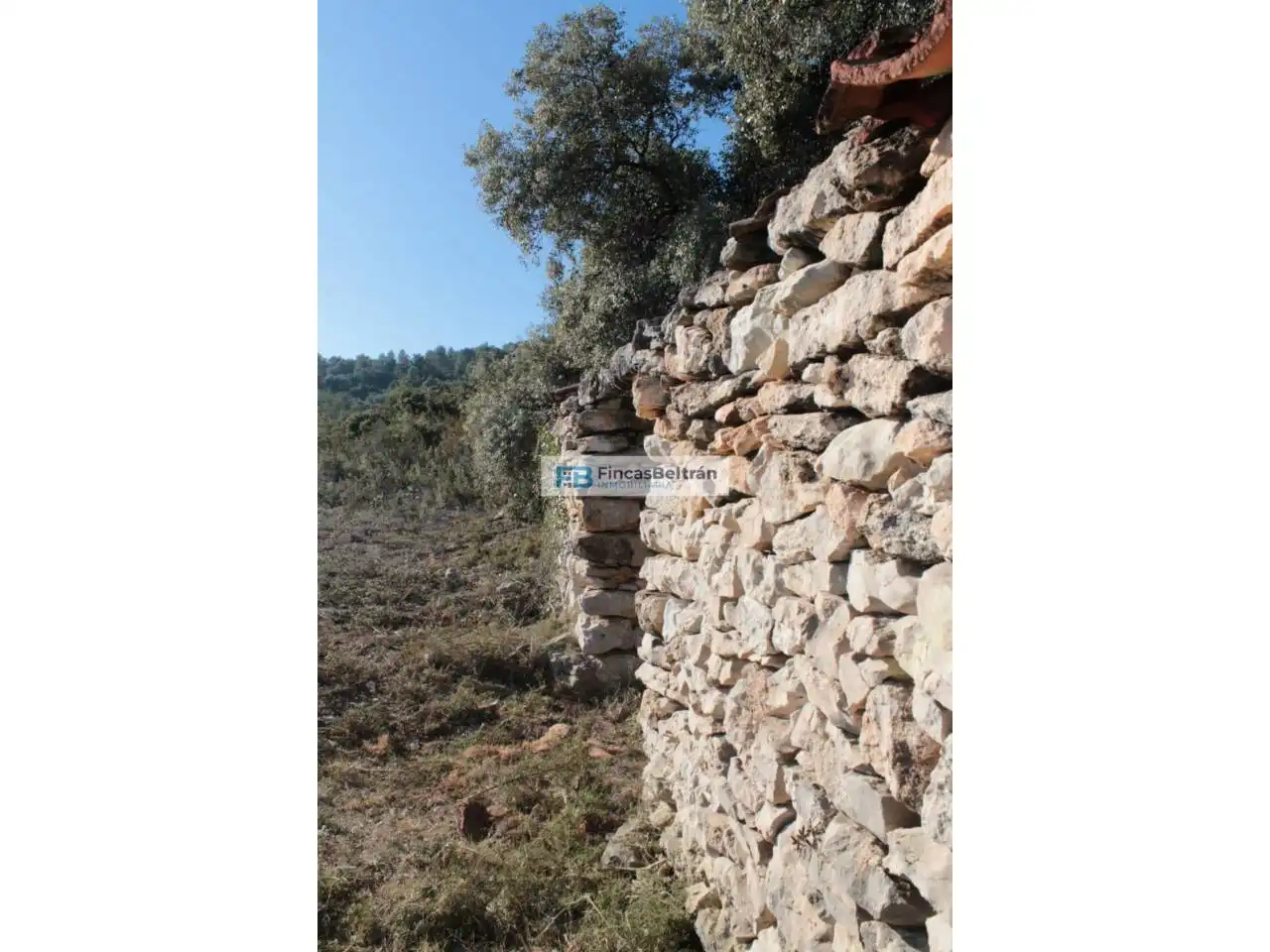 Rural land for sale in Poligono 36, parcela 240, imagen 8