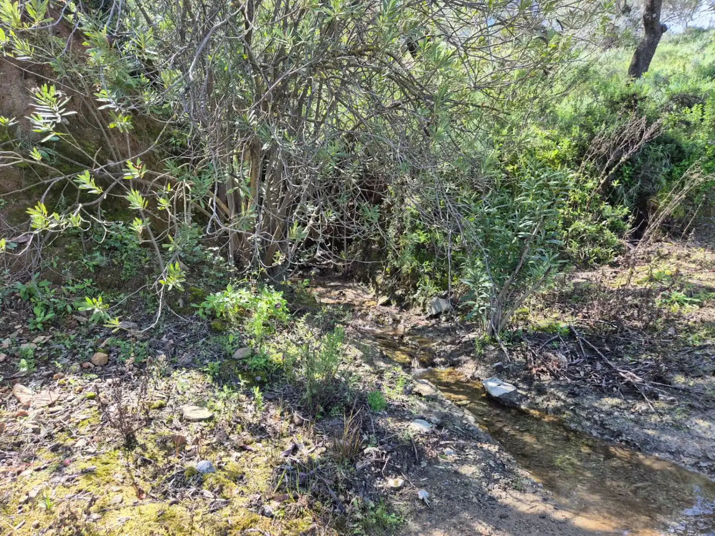 Finca rústica en venda en Guaro amb Calefacció, Terrassa i Traster