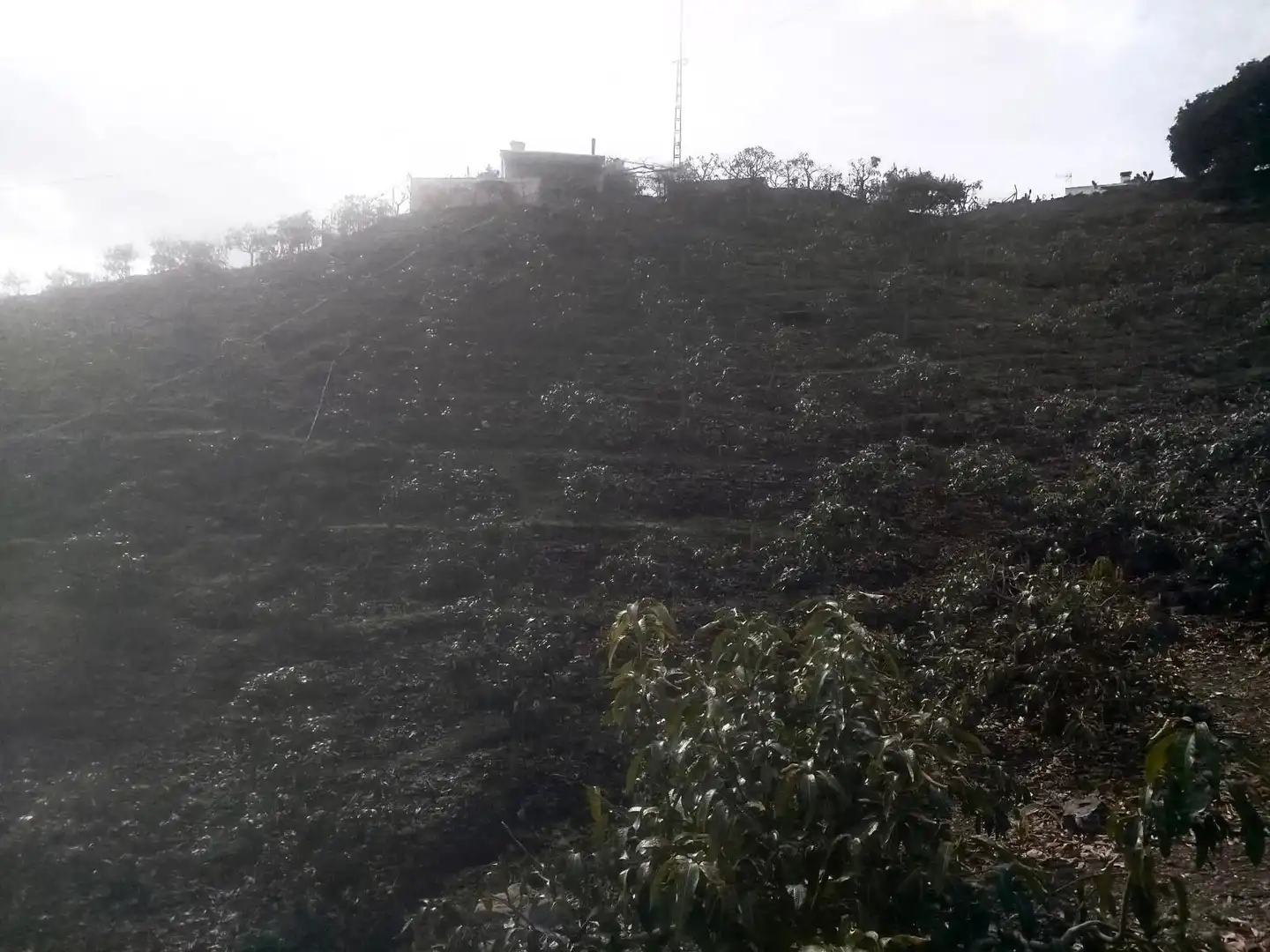 Finca rústica en venda en Vélez-Málaga amb Jardí privat, Traster i Moblat