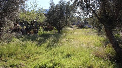FINCA RÚSTICA DE 568 M2 EN EL ROMERAL, immagine 4