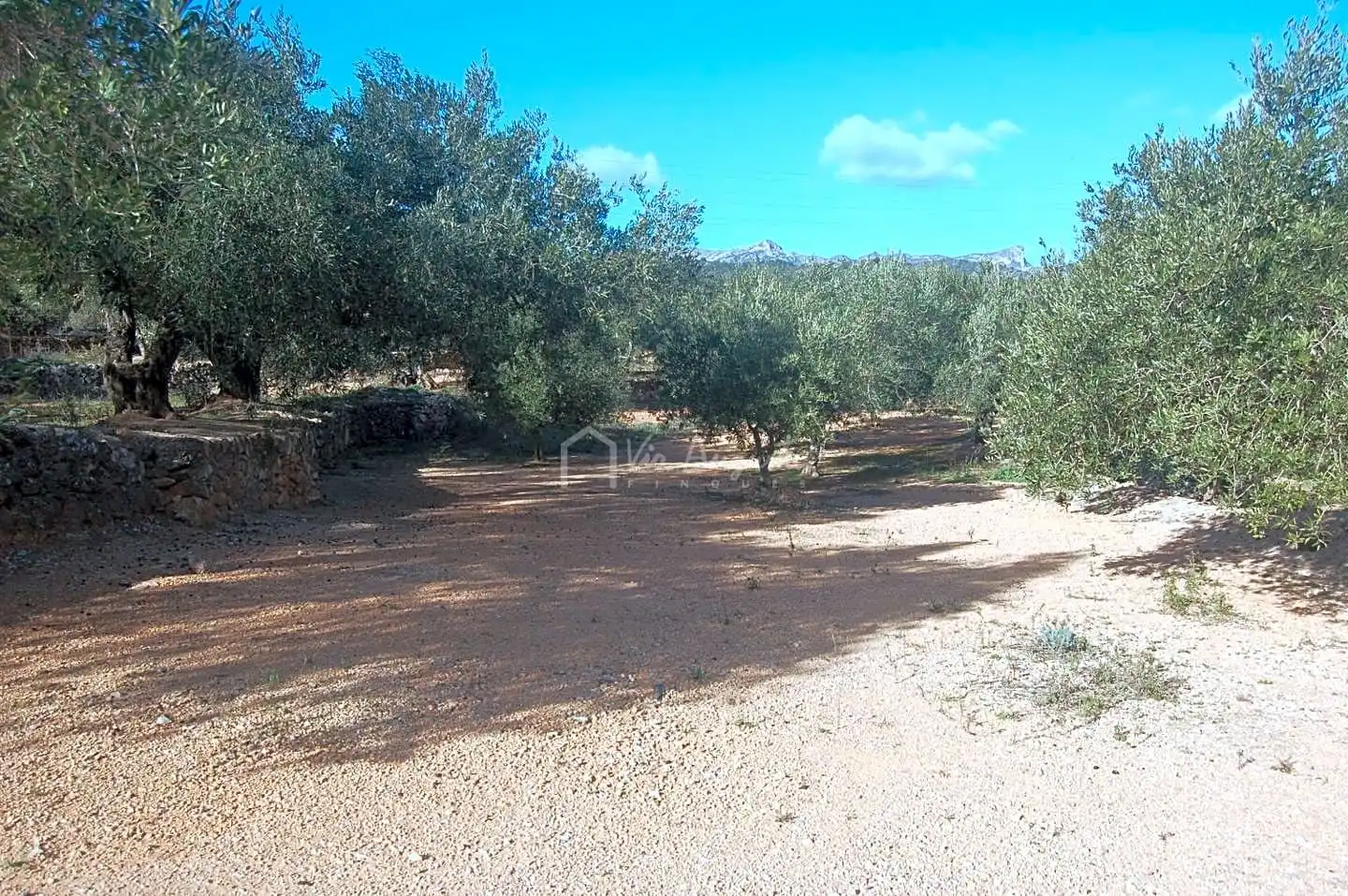 Terreno rustico in vendita a Masets, imagen 3