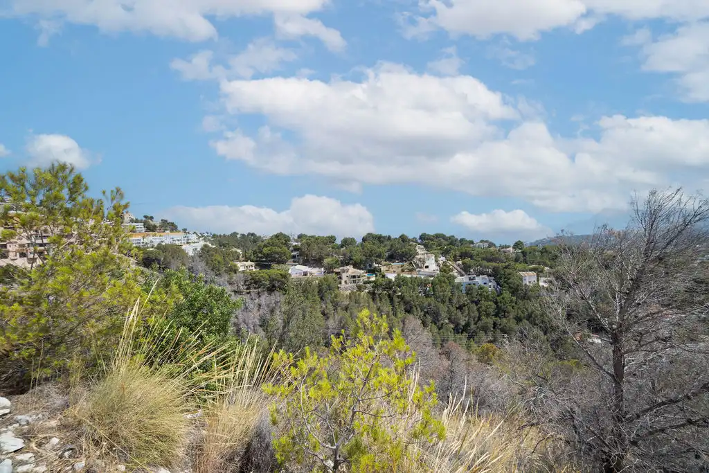 Rural land for sale in C/ Media, Urb Sierra de Altea II, imagen 30