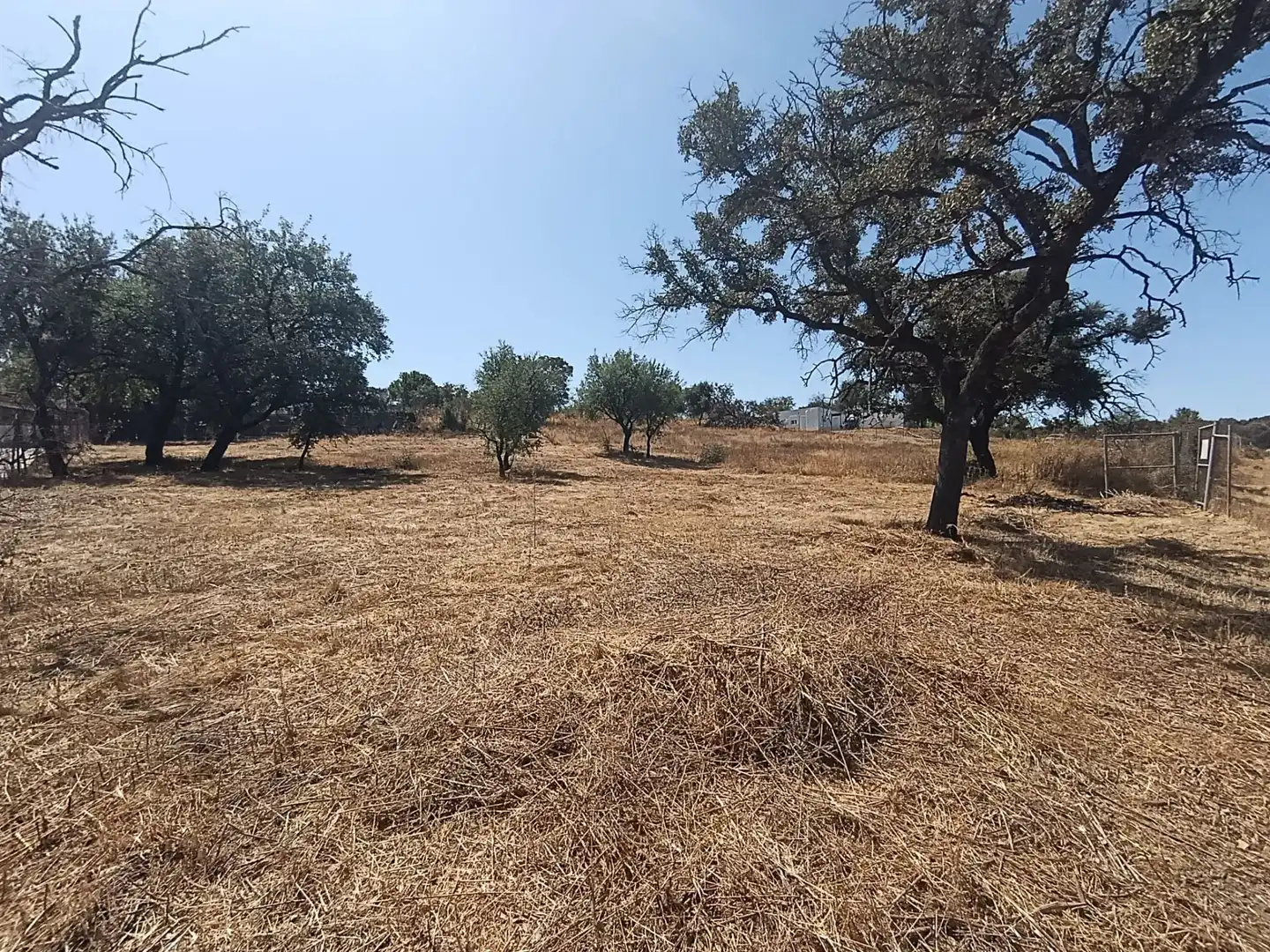 Terreni e lotti in vendita a Castilblanco de los Arroyos, imagen 5