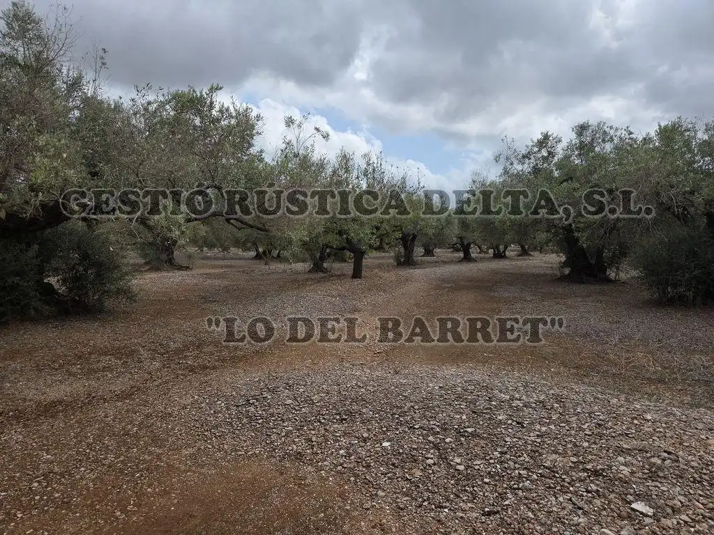 Terreno rústico en venta en Poligono 8, imagen 2