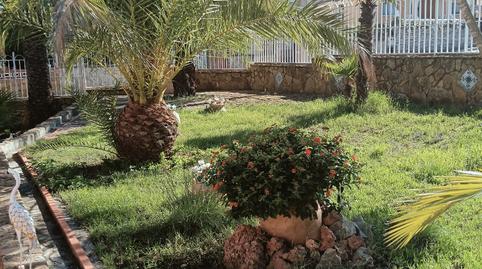 Photo 4 of House or chalet for sale in Algar de Palància, Valencia