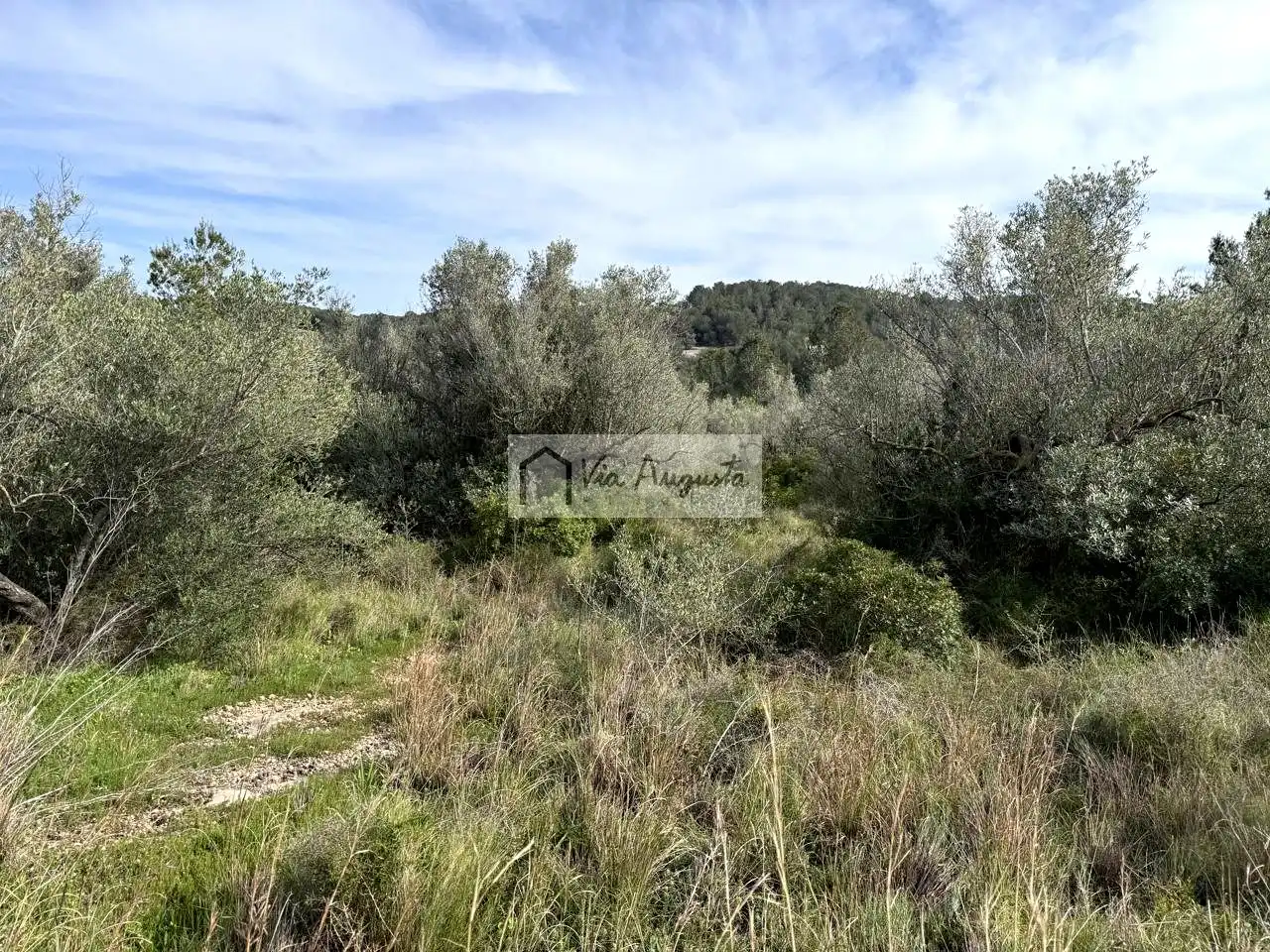 Terreno rustico in vendita a oliveres, imagen 4