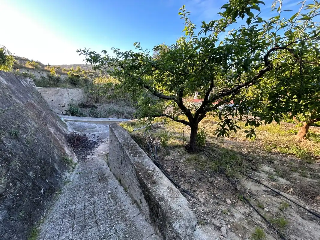 Finca rústica en venda en Oliva amb Moblat