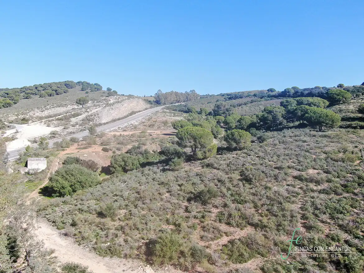 Terreno rustico in vendita a Arcos de la Frontera, imagen 3
