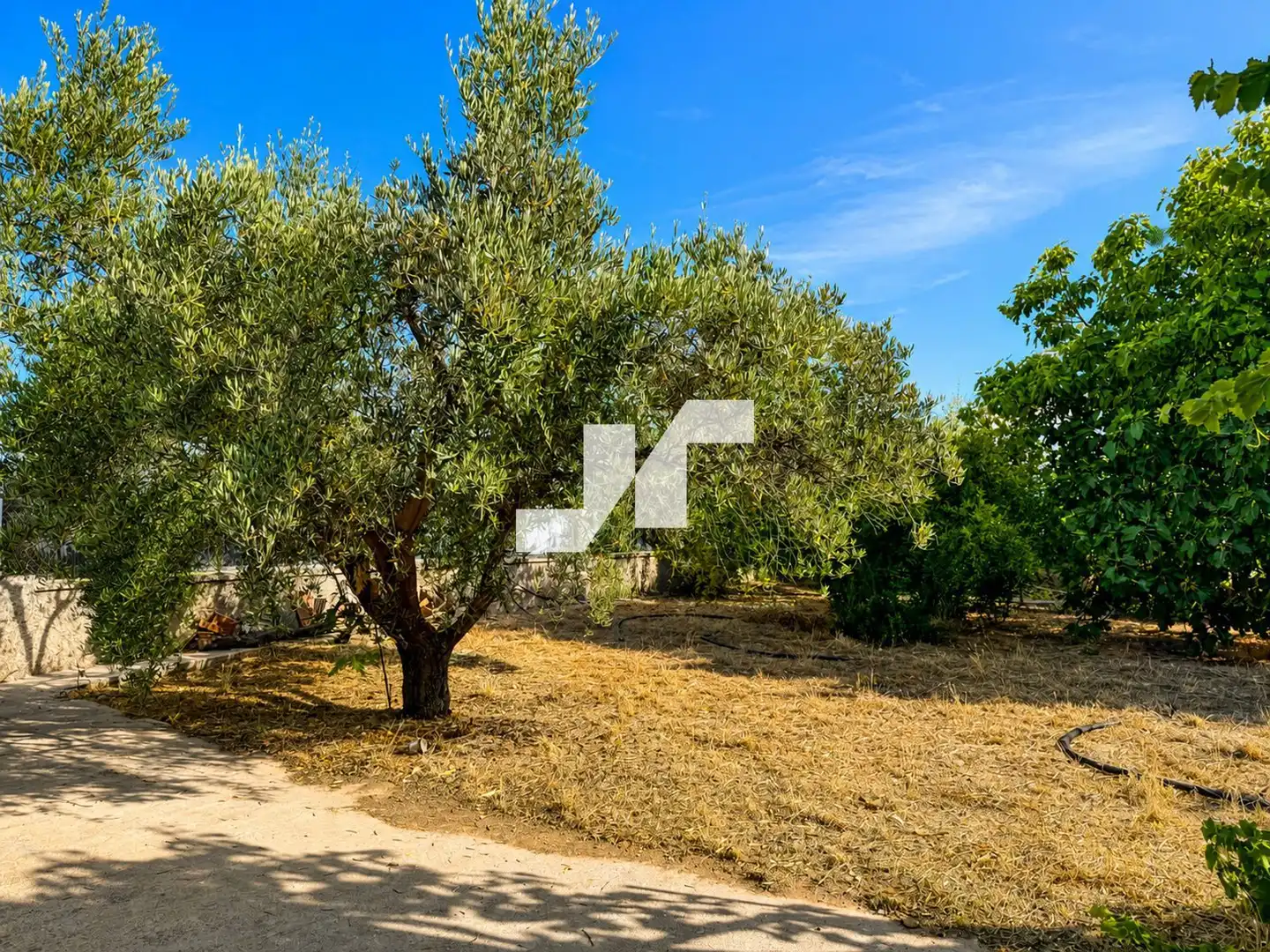 Casa o xalet en venda en Almazora / Almassora amb Terrassa i Traster