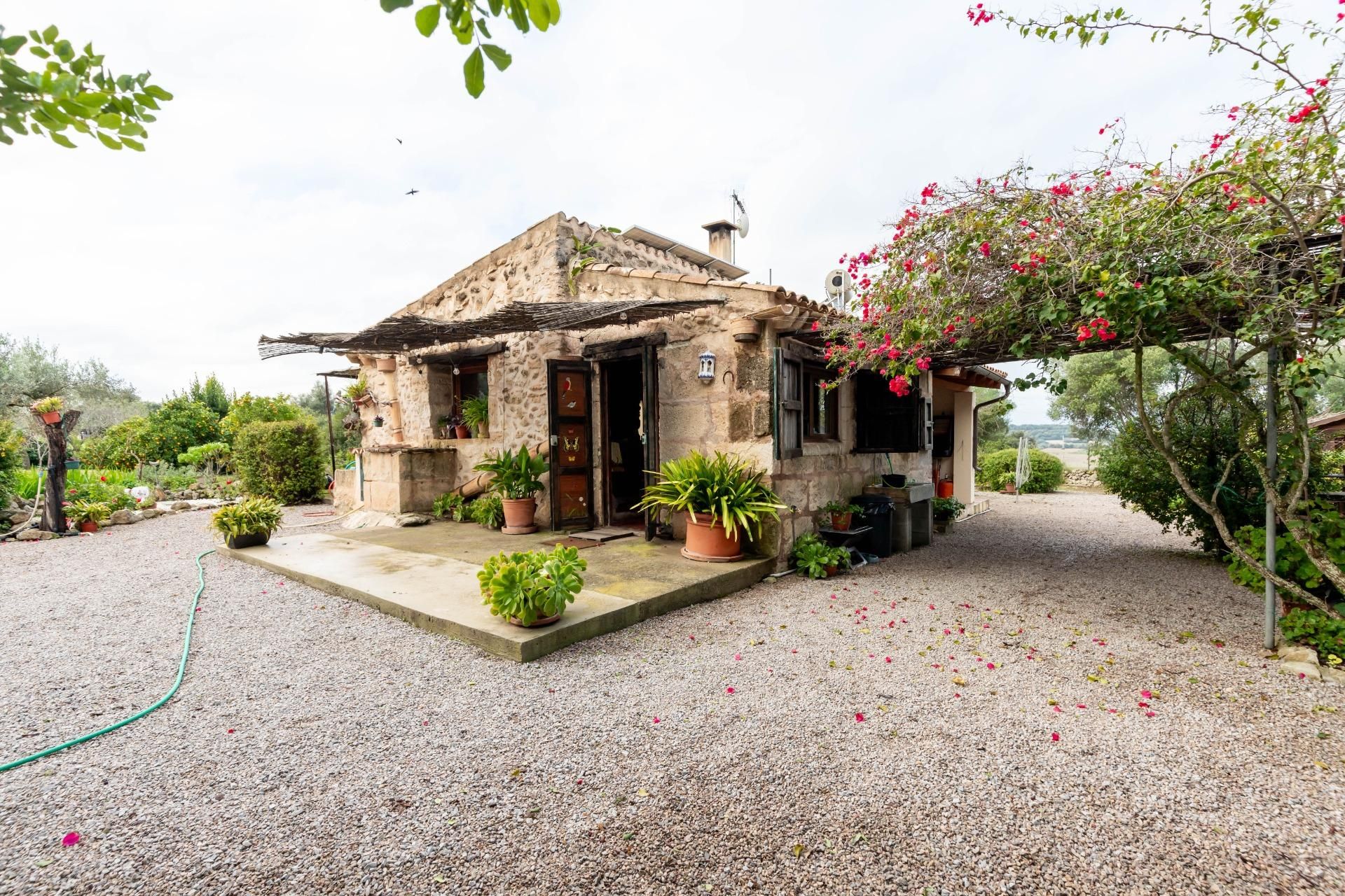 Exterior view of House or chalet for sale in Muro  with Swimming Pool and Alarm