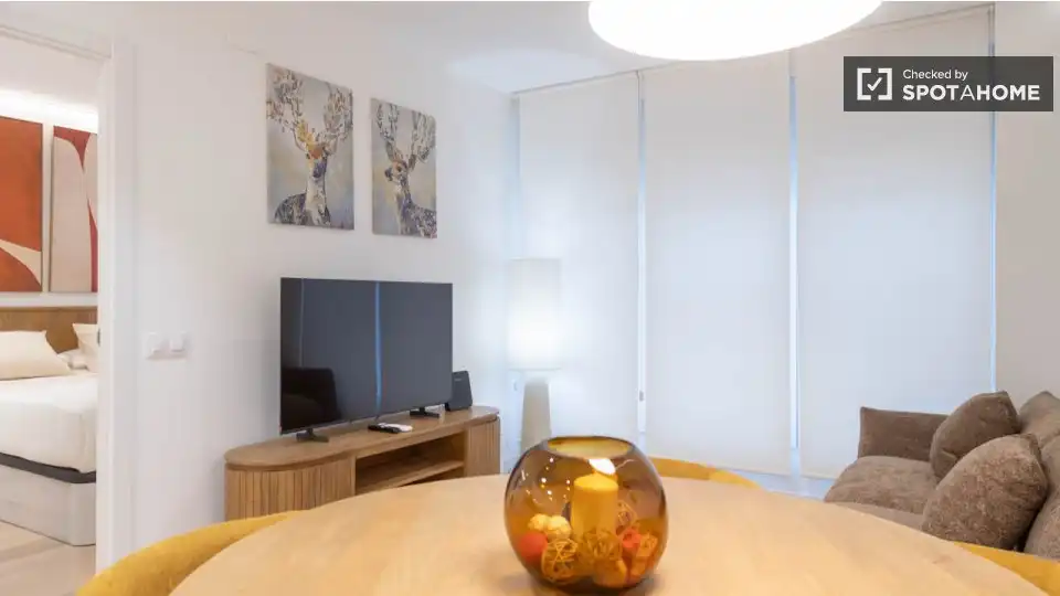 Sala d'estar de Pis de lloguer en Madrid amb Aire condicionat, Calefacció i Moblat