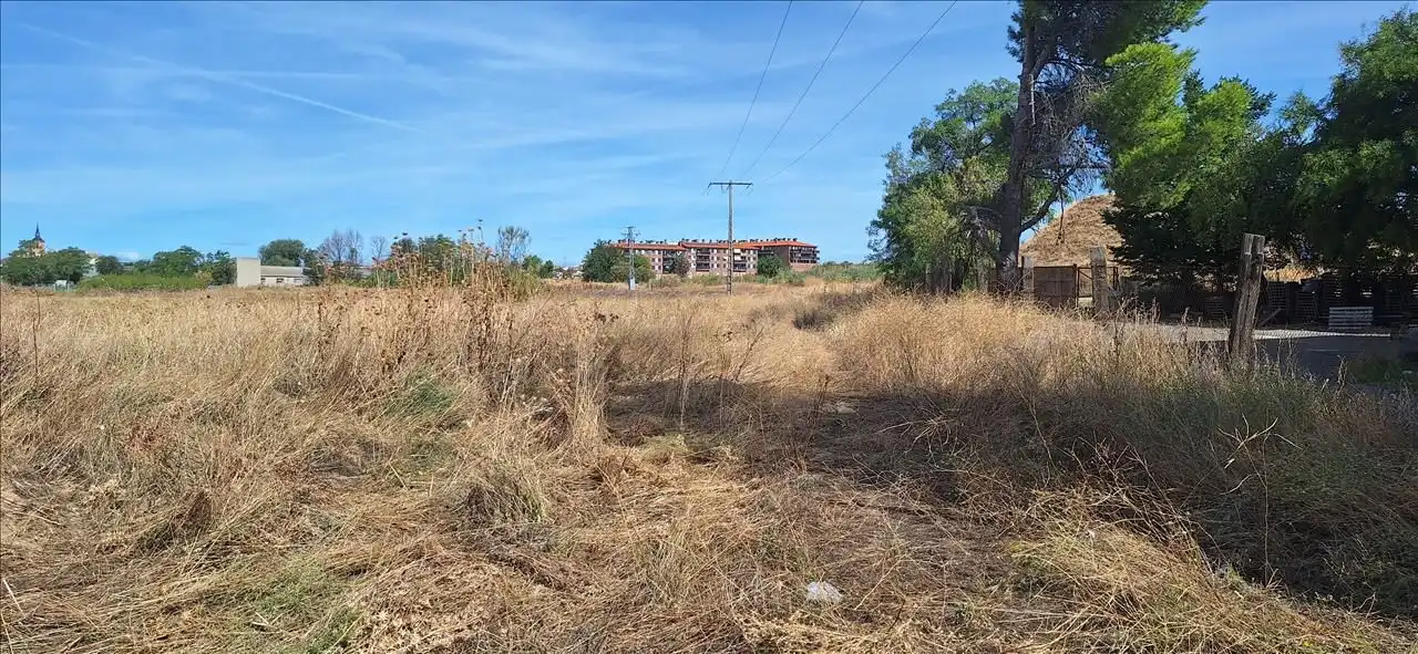 Terreny rústic en venda a Calle EL TEJAR, imagen 4