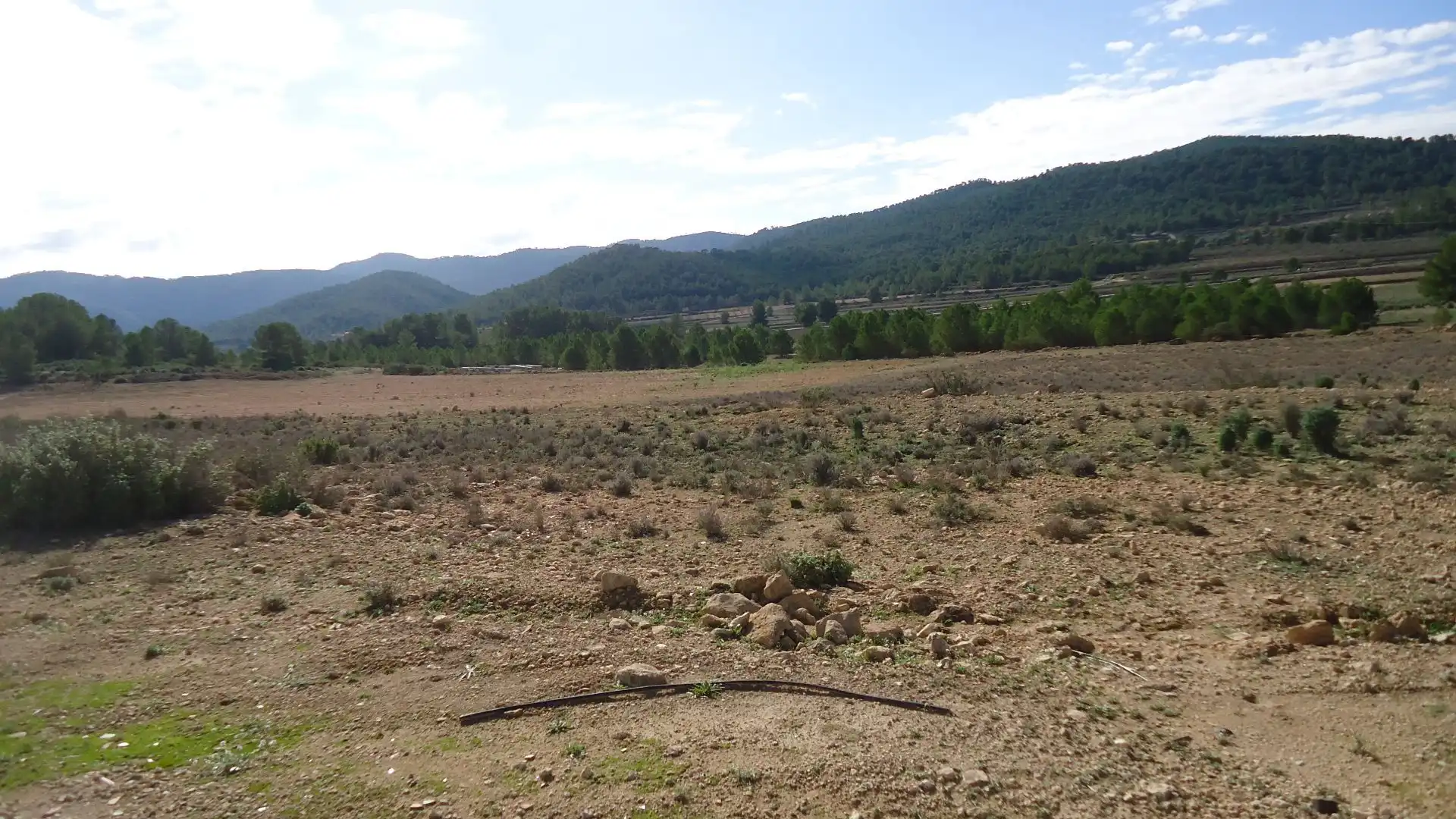 Terreno rústico en venta en Monóvar  / Monòver, imagen 2