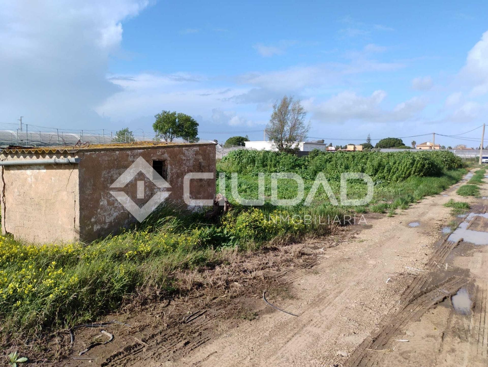 Land for sale in Sanlúcar de Barrameda