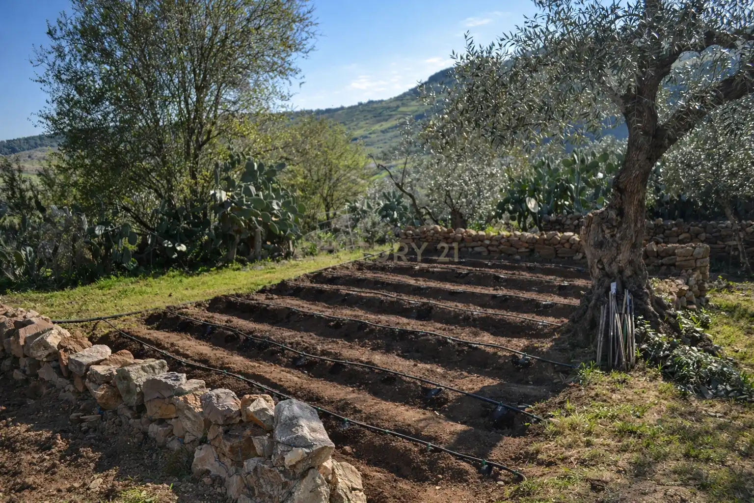 Casa o chalet en venta en Zafra con Jardín privado, Trastero y Piscina