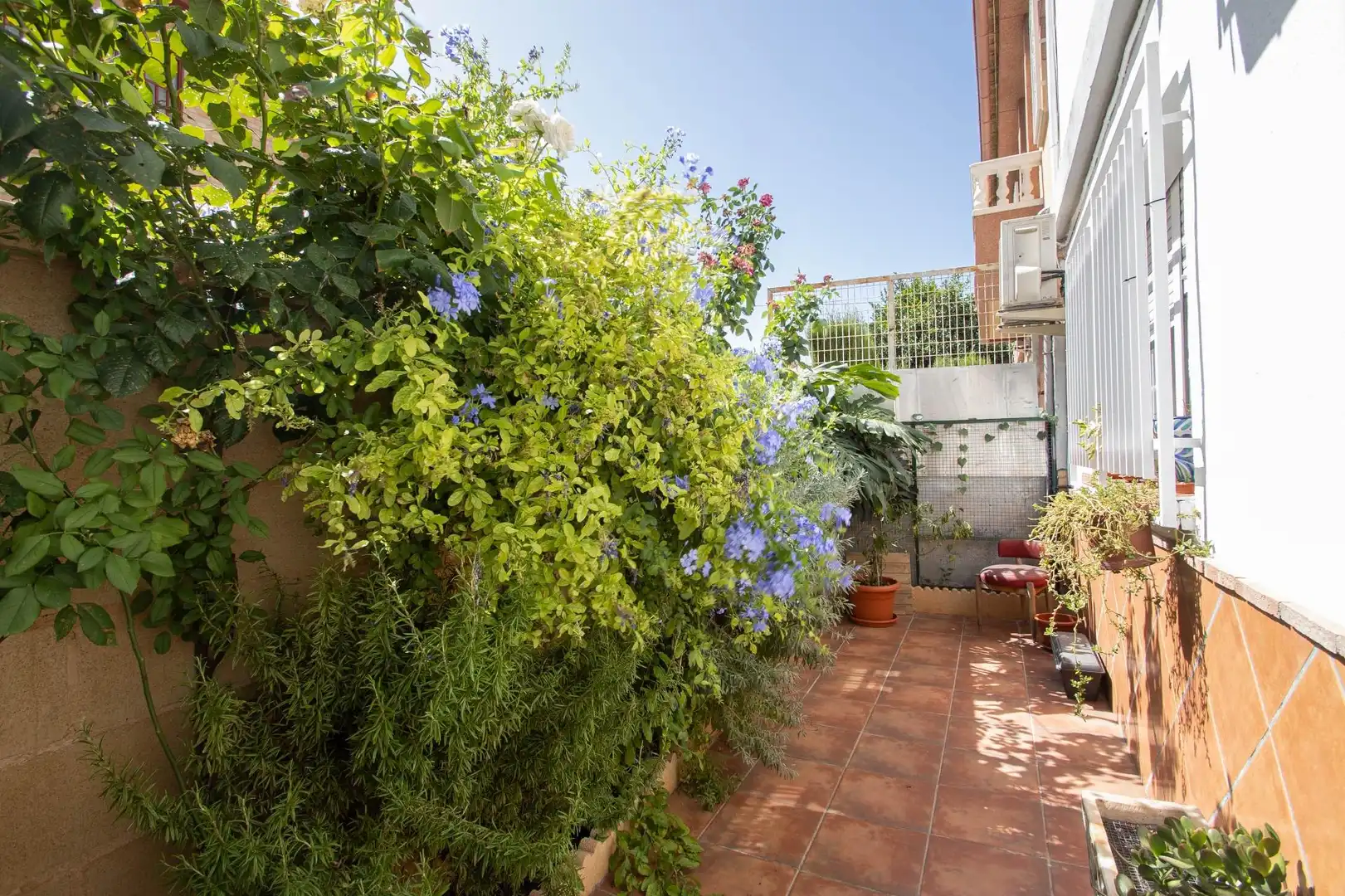 Maison mitoyenne avec terrasse à vendre à Calle ZORRILLA, imagen 8