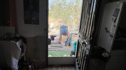 Foto 5 de Finca rústica en venta en Olivares, Sevilla