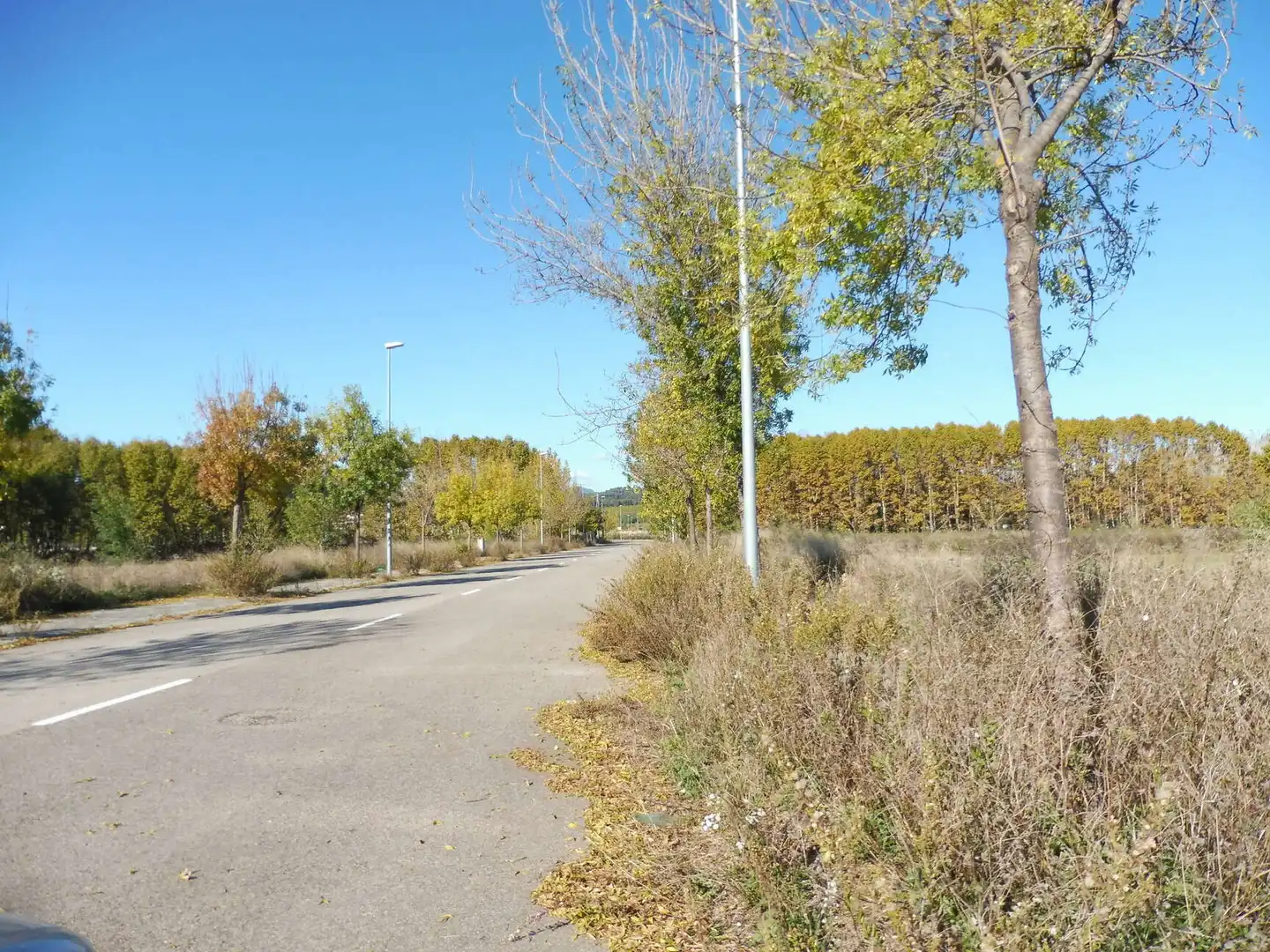 Terreno residencial en venta en Massanes, imagen 2