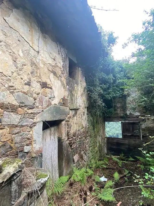 Vista exterior de Finca rústica en venta en Salas