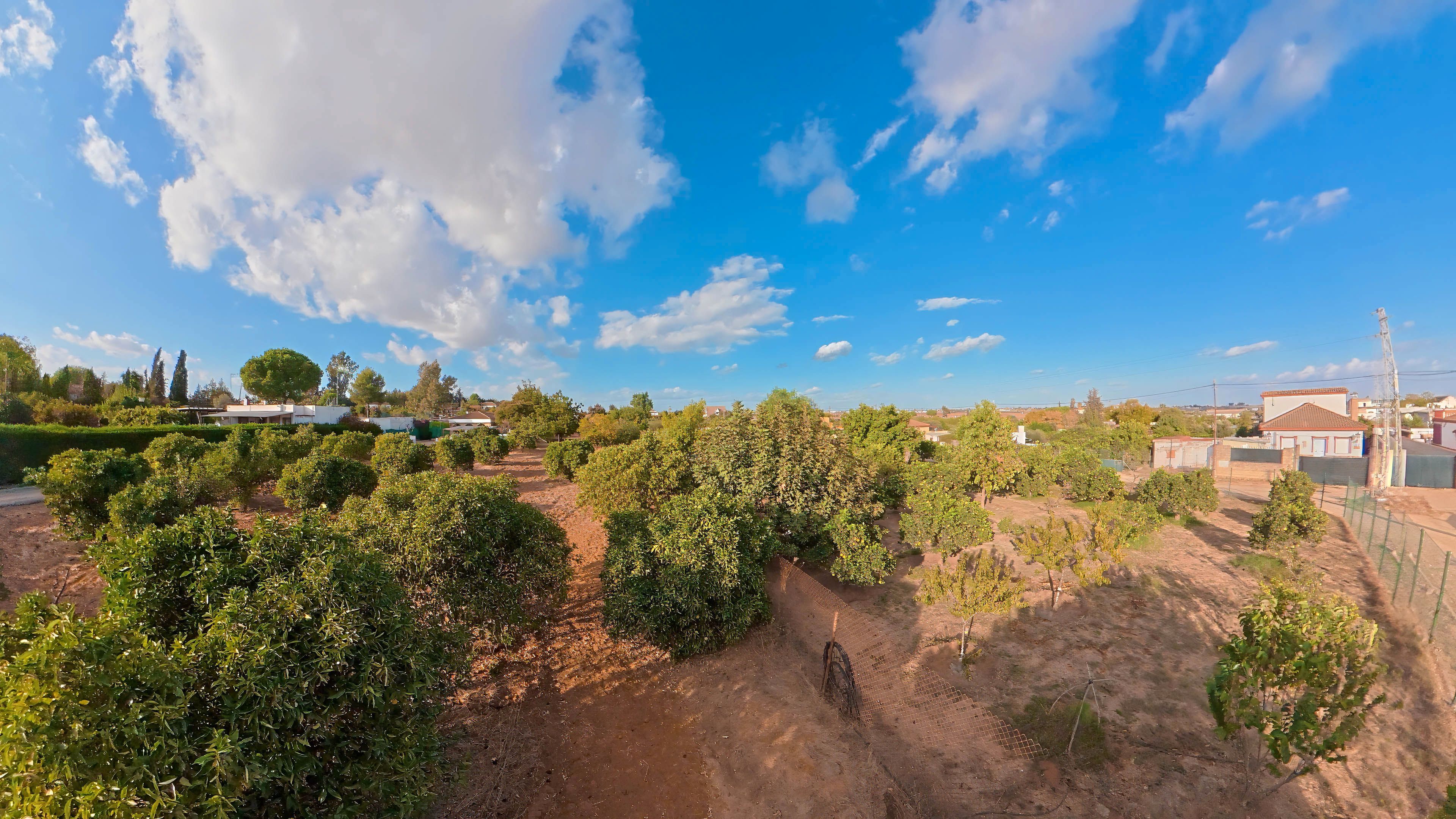 Finca rústica en venda en Almensilla amb Jardí privat i Piscina