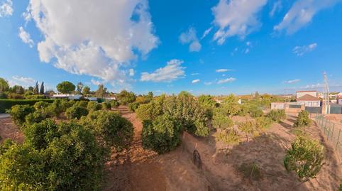 Foto 3 de Finca rústica en venda a  Urb Santa Iglesia, Almensilla, Sevilla