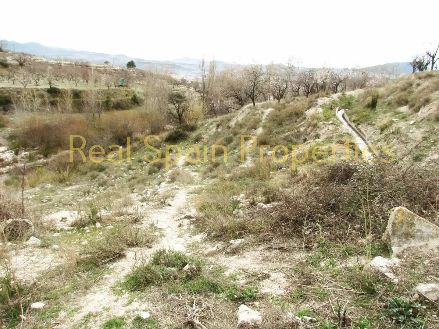 Terrenos y solares en venta en Vélez-Blanco, imagen 9