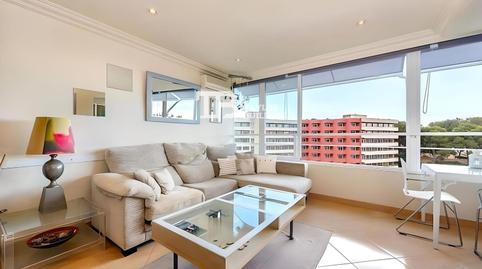 Photo 2 of Attic for sale in Vella, Portals Nous, Illes Balears