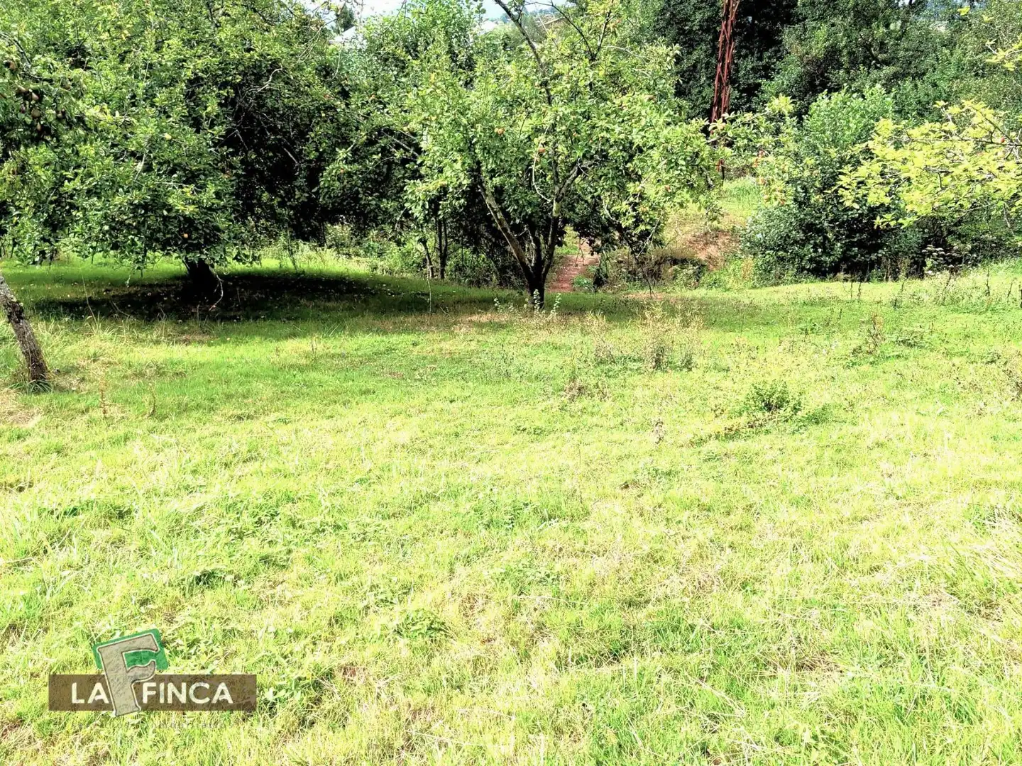 Casa o xalet en venda en Siero amb Calefacció, Parquet i Terrassa