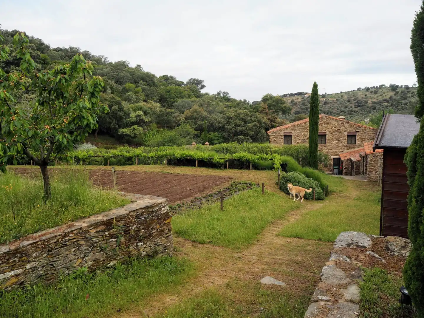 Houses for sale in Madroñera - LAS ANIMAS, Madroñera