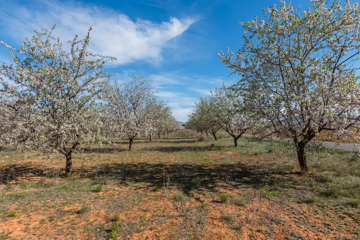 Casa rústica amb jardí en venda a ARDAL. MULA (Murcia), imagen 42