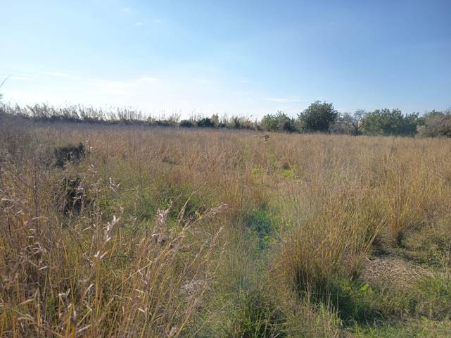 Finca rústica en Venta en San Rafael del Río