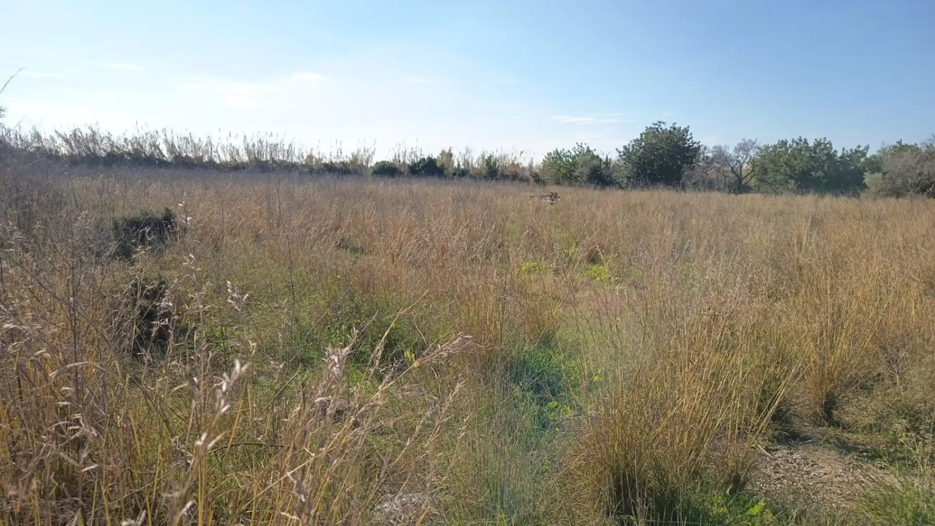 Country homes for sale in San Rafael del Río