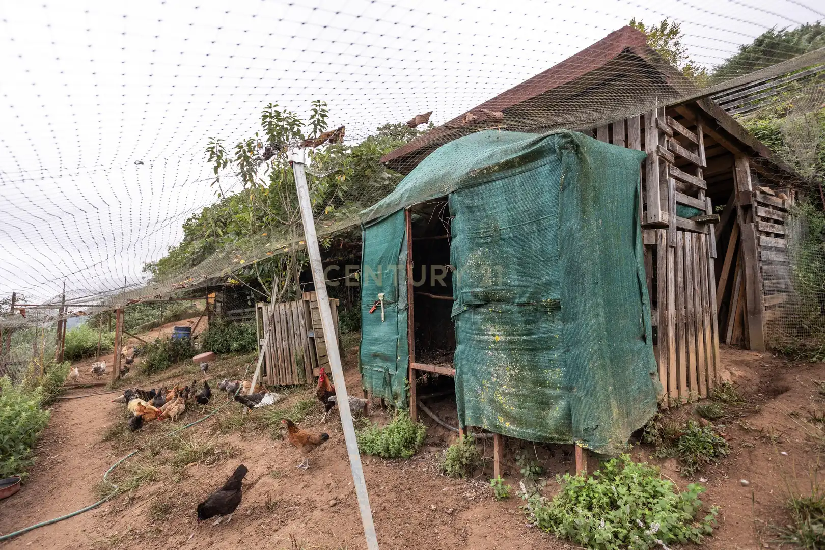 Maison à vendre à Sebares, Piloña, Asturias, Spain 28, imagen 45