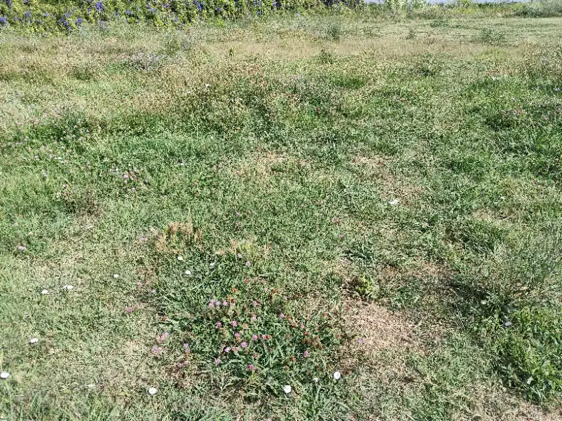 Residential land for sale in Partida MULADAR, Polígono 40, Parcela PARTE 106., imagen 12