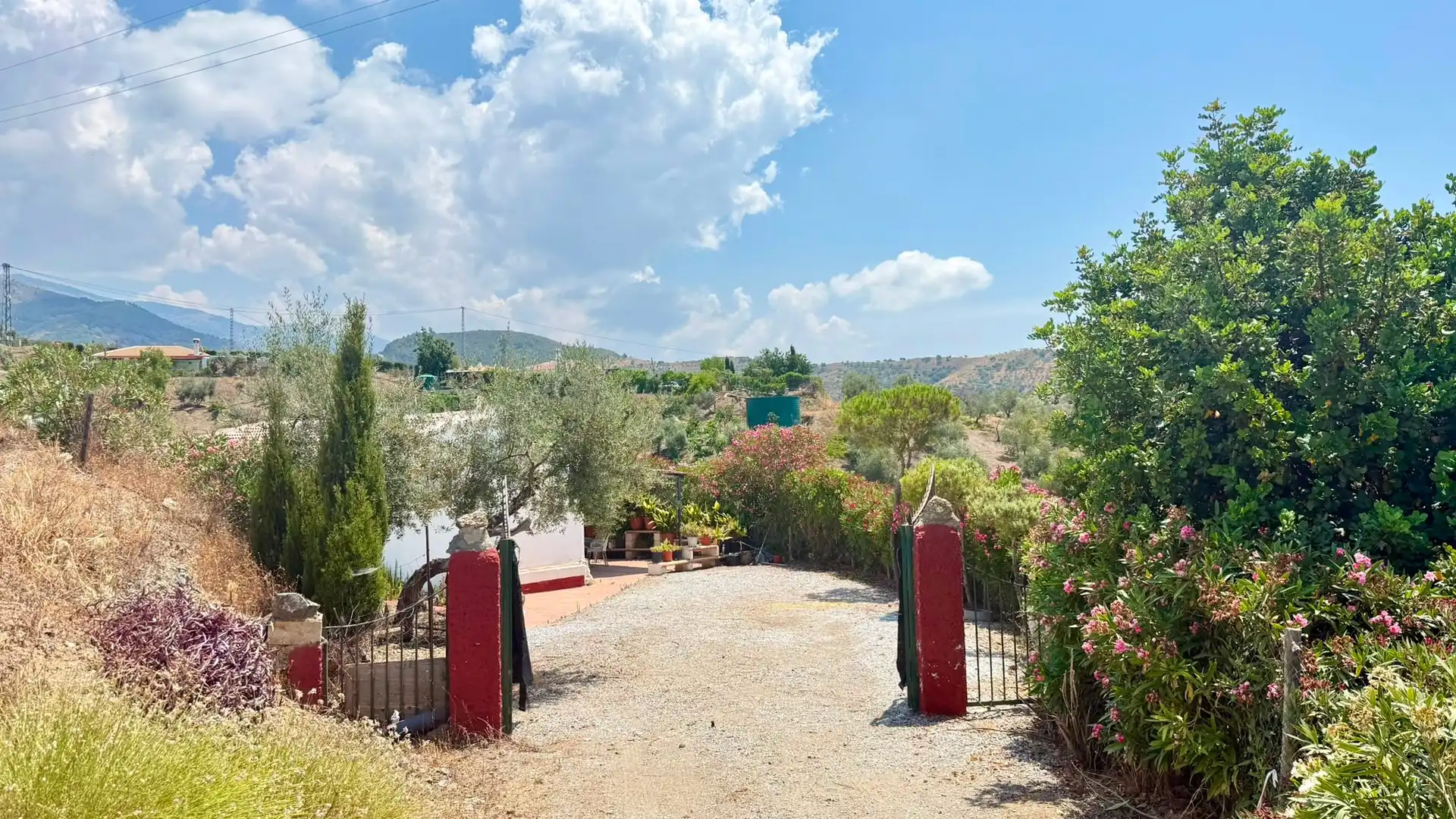 Jardí de Casa o xalet en venda en Sedella amb Aire condicionat, Jardí privat i Terrassa